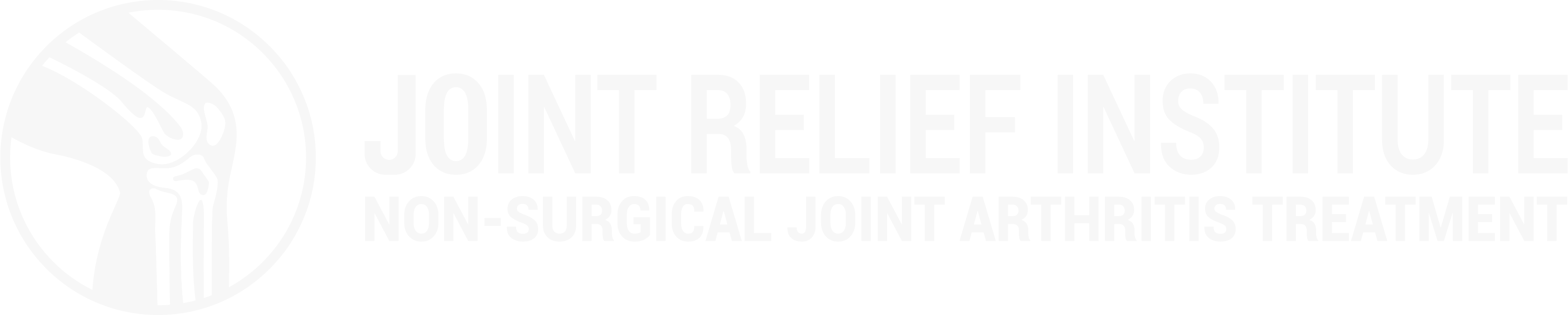 Joint Relief Institute